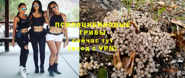 тгк Абдулино