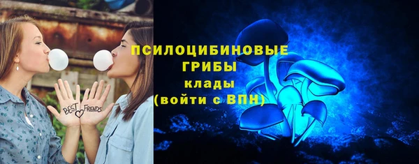 прущие крисы Гвардейск