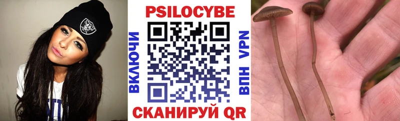 Псилоцибиновые грибы Magic Shrooms blacksprut маркетплейс Мосальск где купить наркоту